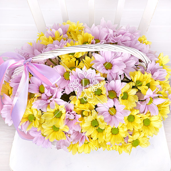 Прекрасное чувство - корзина с кустовыми хризантемами